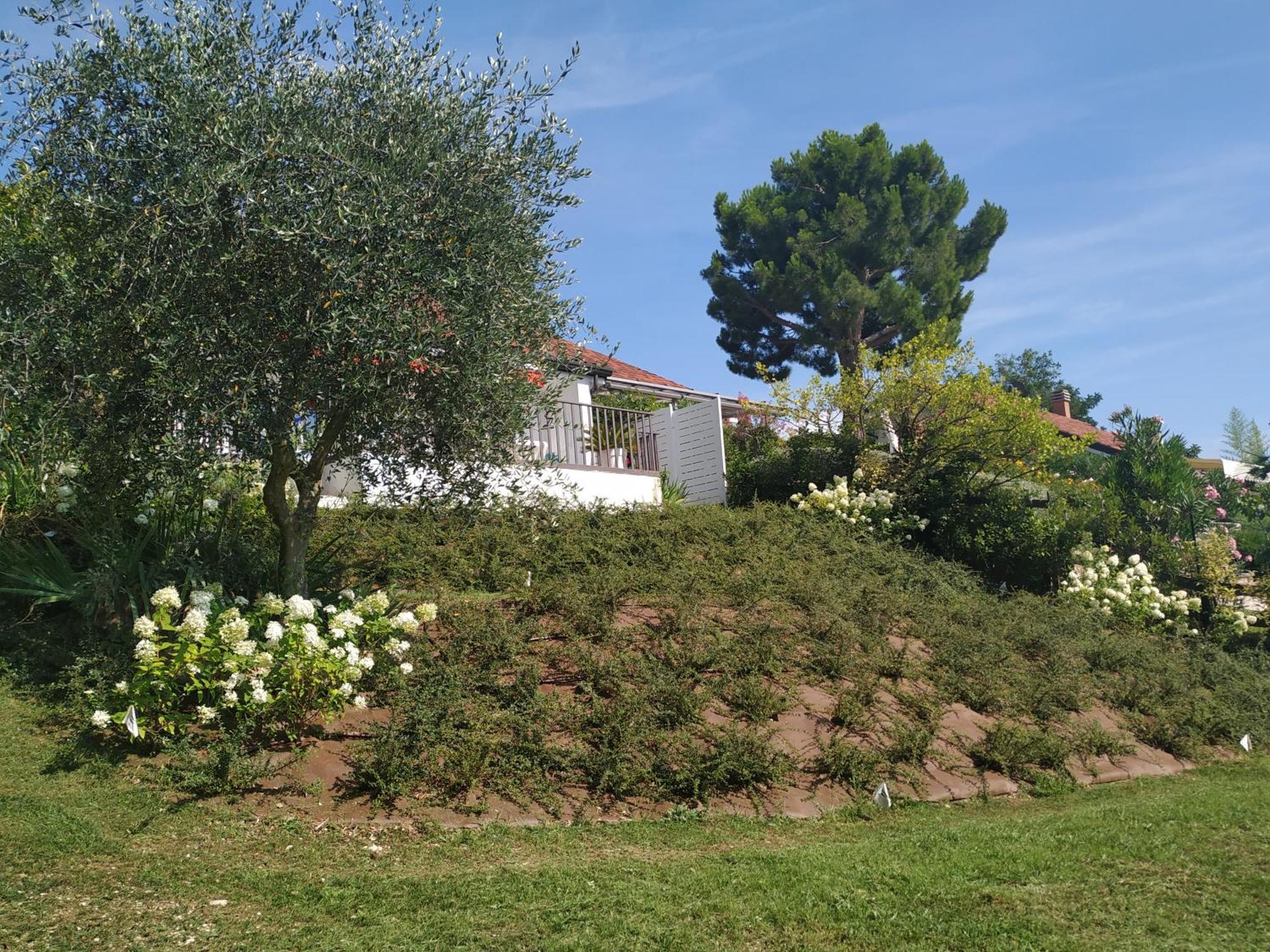 Casa Fellini Villa San Zeno di Montagna Exteriör bild