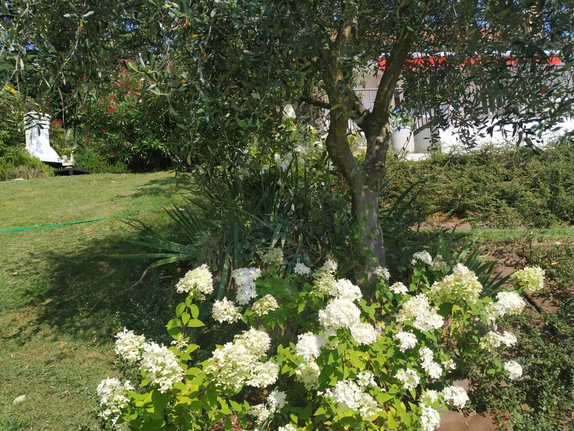 Casa Fellini Villa San Zeno di Montagna Exteriör bild